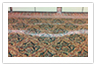 carpet color damage